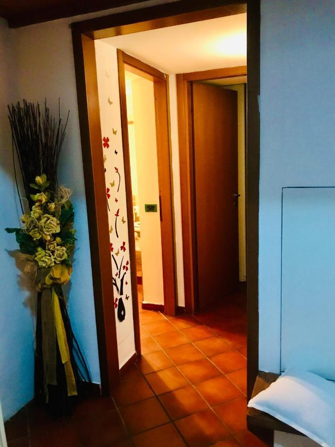 Apartment Maya